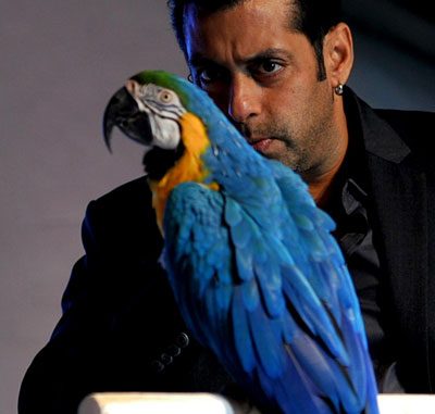 Salman Khan during promotions of Bigg Boss 6 - Pic 1 2